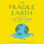 The Fragile earth