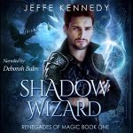 Shadow Wizard – Renegades of Magic Book 1